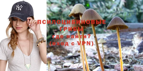 прущие крисы Медвежьегорск