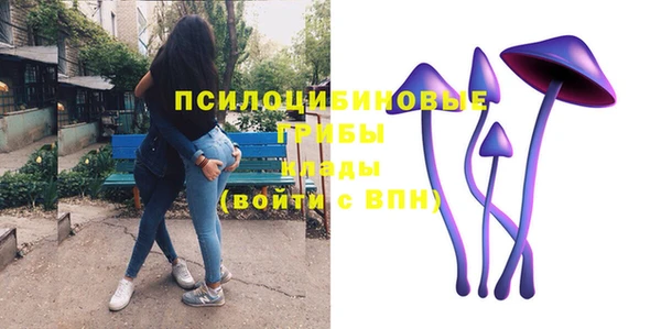 спиды Магас