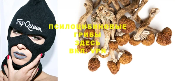 прущие крисы Наволоки
