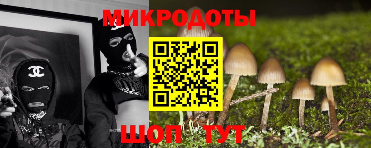 Псилоцибиновые грибы Psilocybine cubensis Калининград
