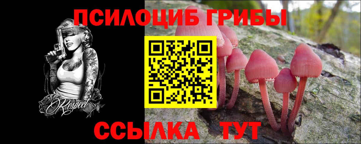 Галлюциногенные грибы Psilocybe  Галлюциногенные грибы Psilocybe  Вход с VPN  Калининград 